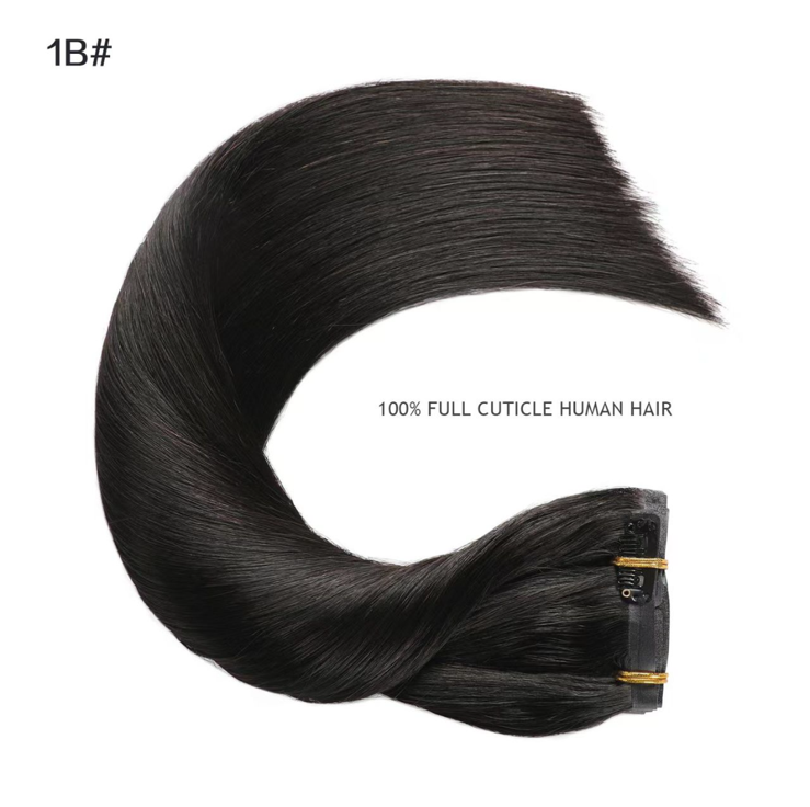 Clip in